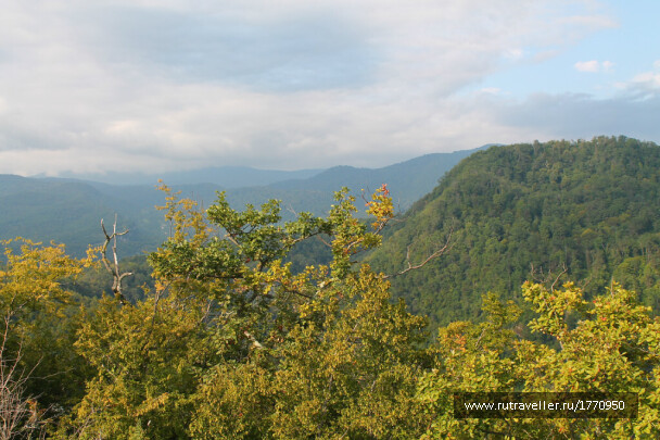 photo 1735790