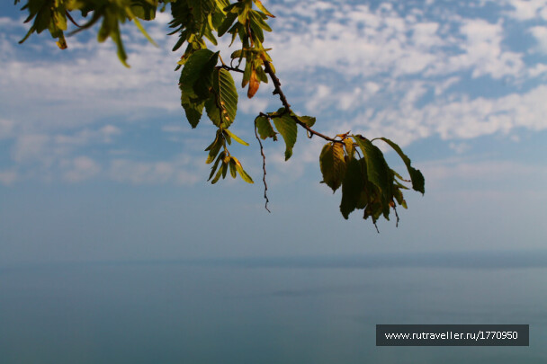 photo 1735792