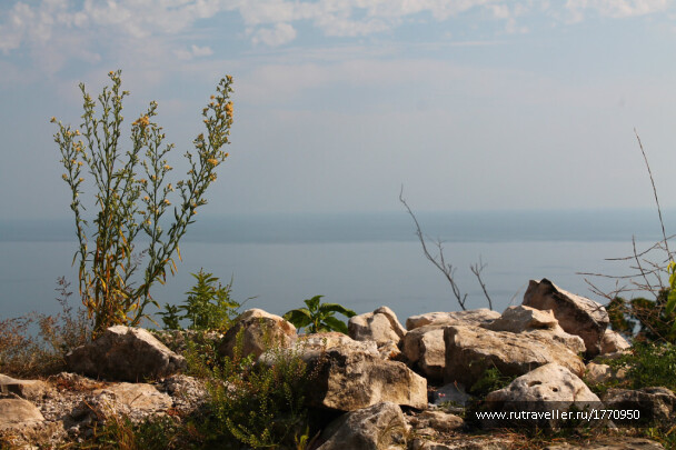 photo 1735794