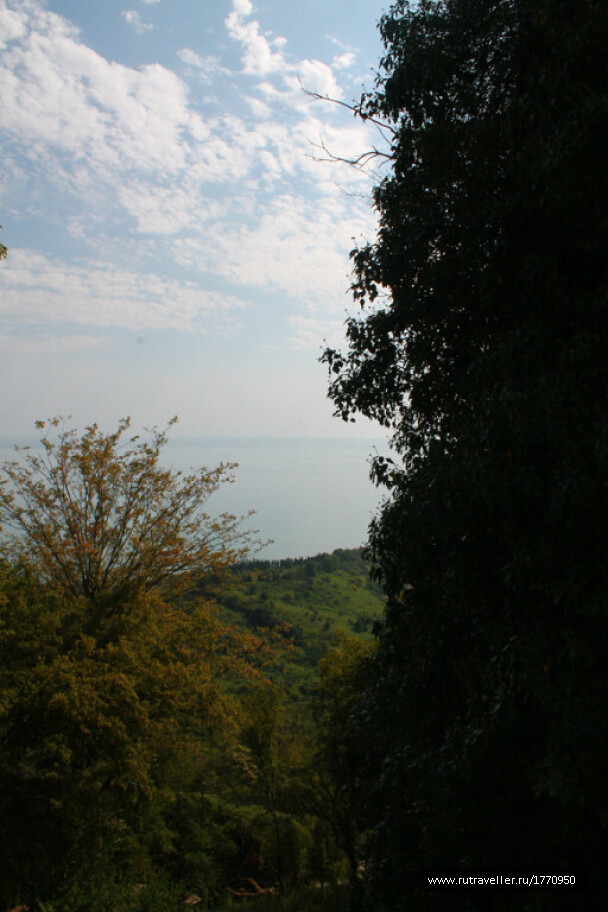 photo 1735799