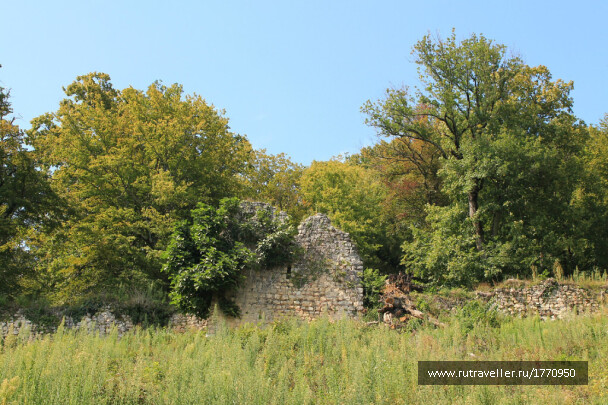 photo 1735802