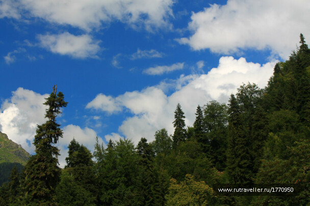 photo 1737113