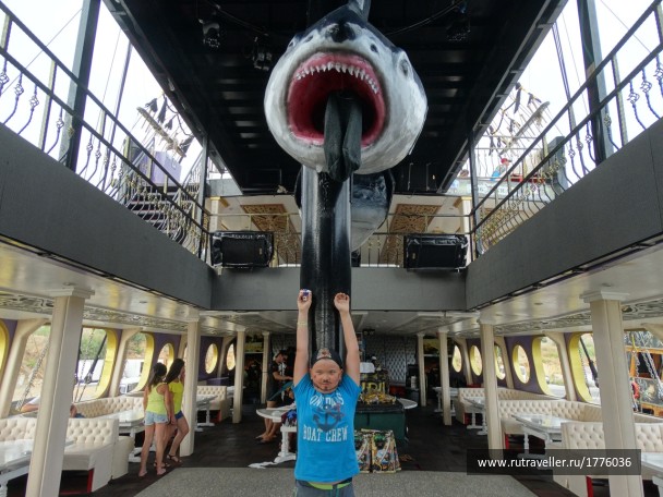 photo 1728831