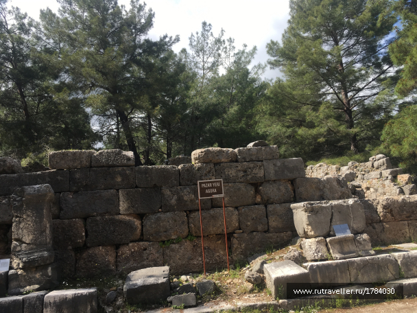 photo 1763231