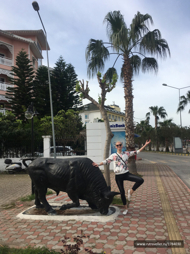 photo 1763260