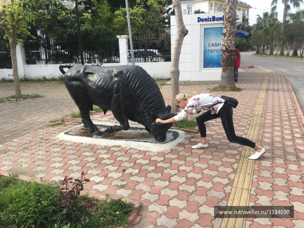 photo 1763261