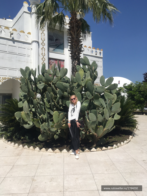 photo 1766426