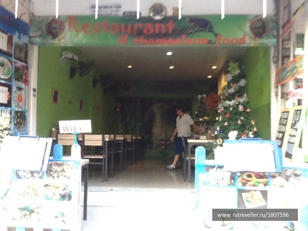 photo 1828905