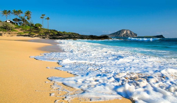 hawaii-beach-background-23