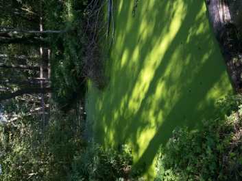 photo 1770447