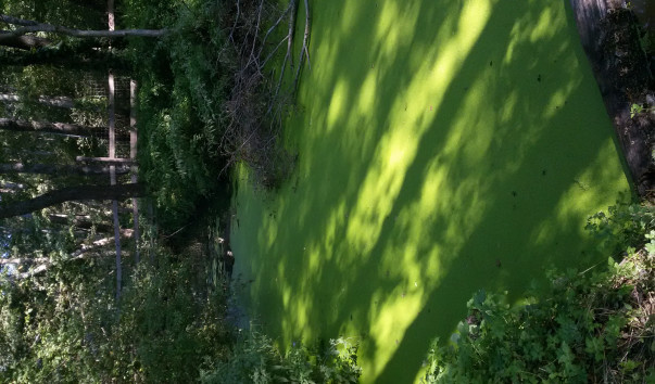 20170826_161940