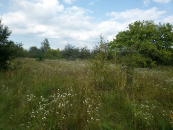 photo 1770450