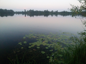 photo 1770452