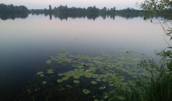 20170812_202234