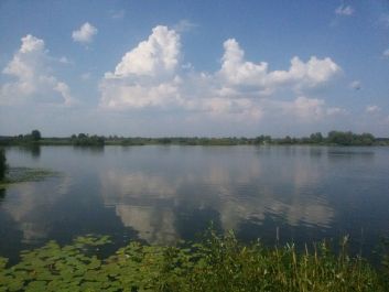 photo 1770453