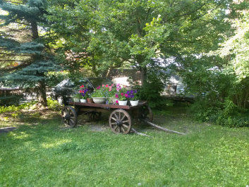 photo 1770454