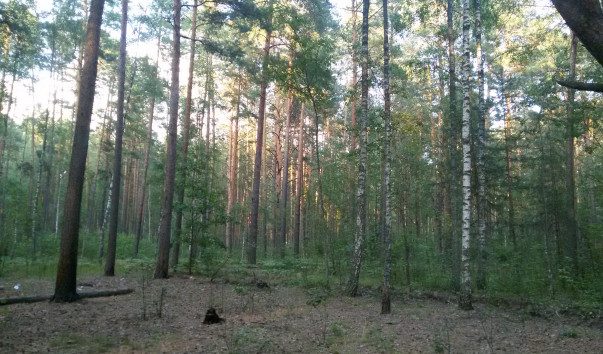 20170721_193301