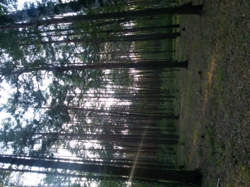 photo 1770456