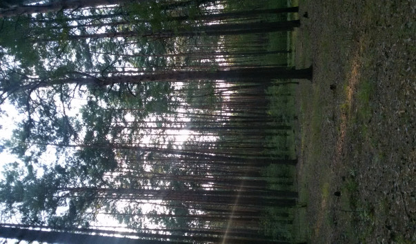 20170721_193249