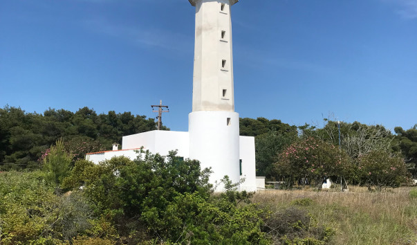 IMG_9073-18-06-19-01-46