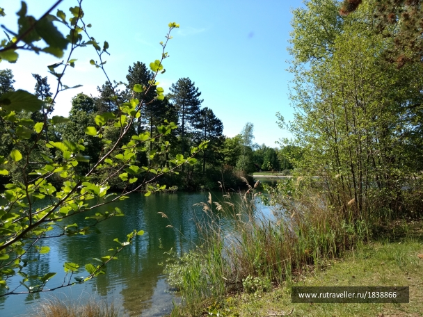 photo 1765816