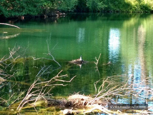 photo 1765817