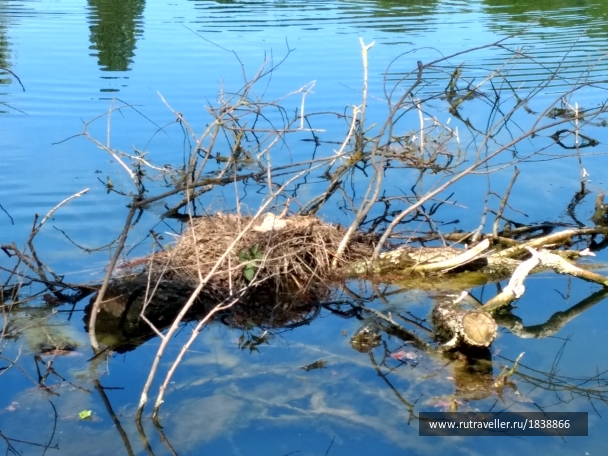 photo 1765819