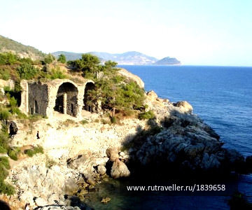 photo 1769713