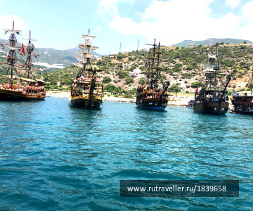 photo 1769731