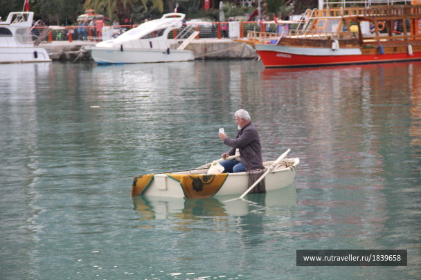 photo 1766445