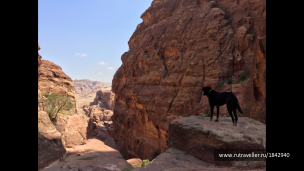 photo 1769153