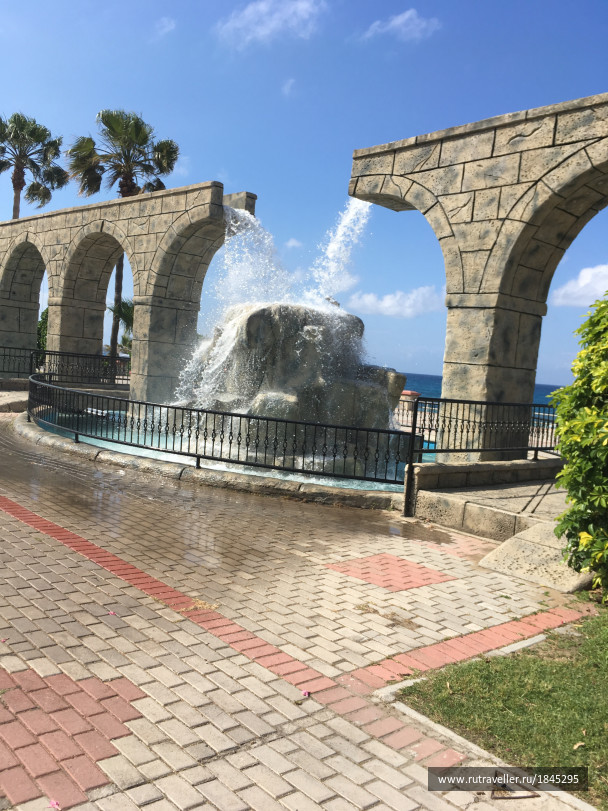 photo 1769642
