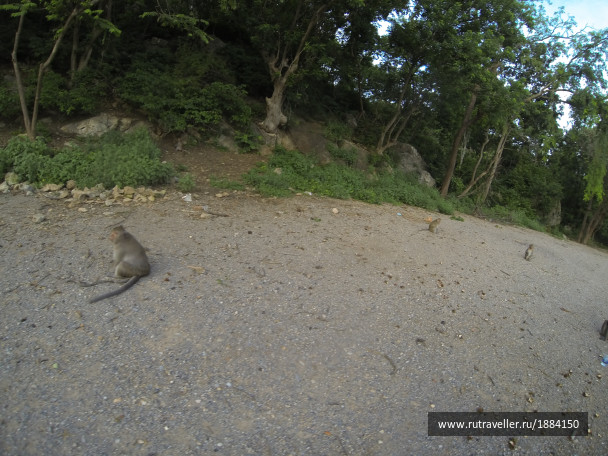 photo 1789335