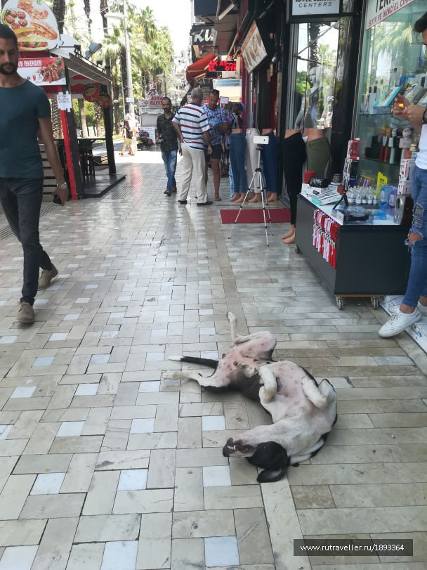 photo 1788827