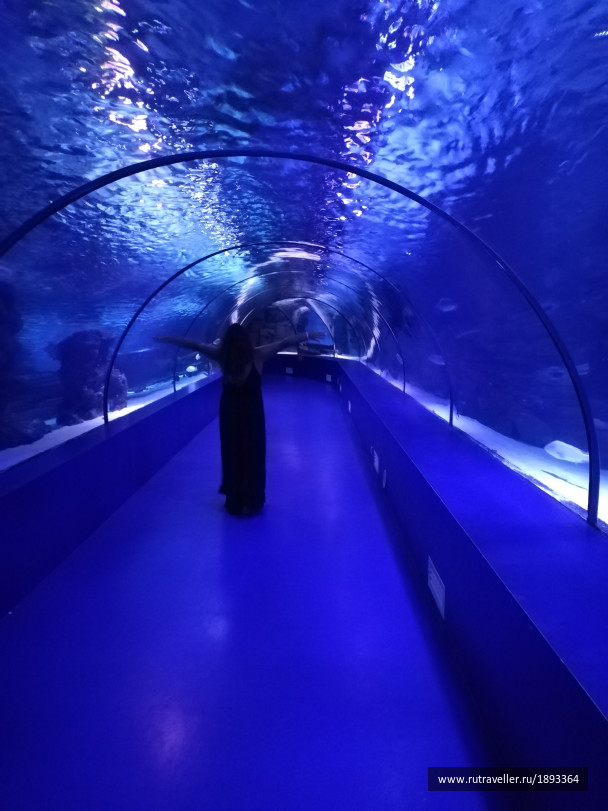 photo 1788832