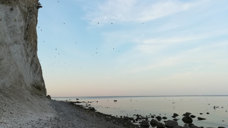 photo 1785775