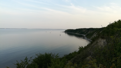 photo 1785776