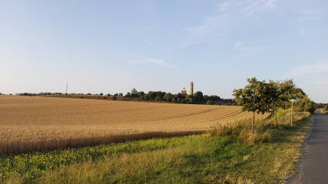 photo 1785781