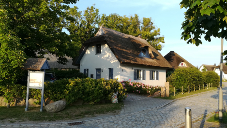 photo 1785782