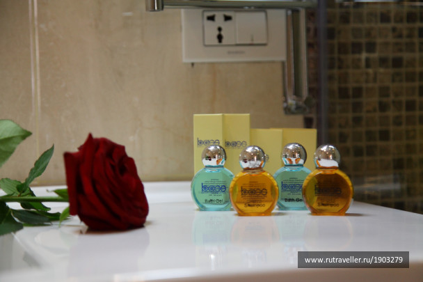 photo 1787648