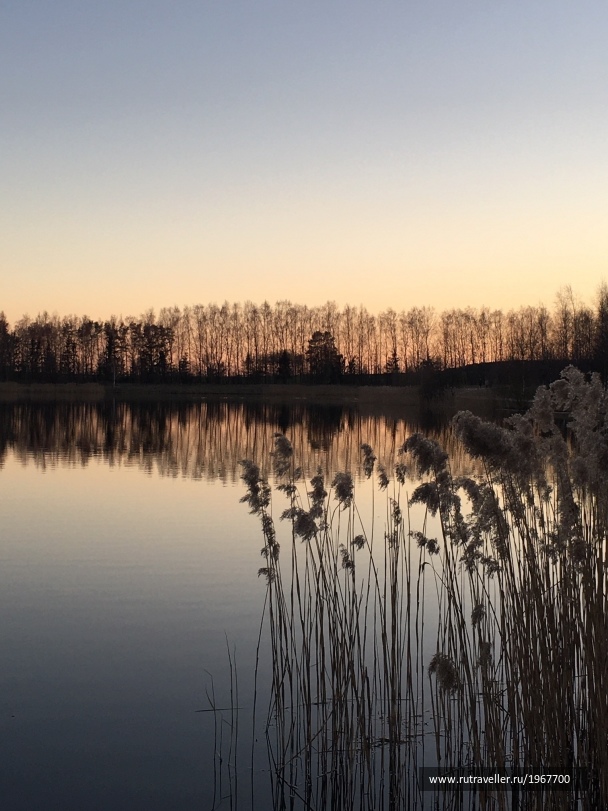photo 1867067