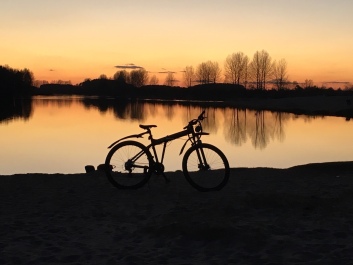 photo 1867068