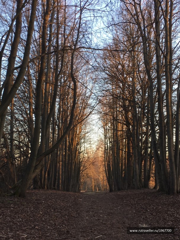 photo 1867069