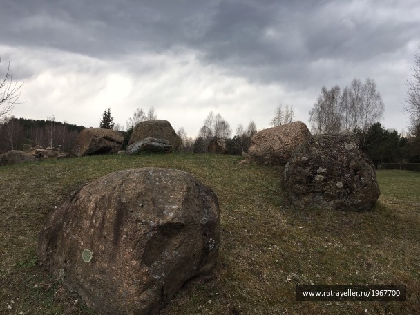 photo 1871713