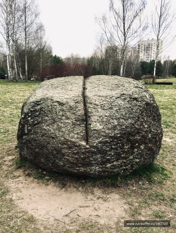 photo 1871714