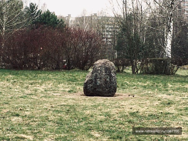 photo 1871715