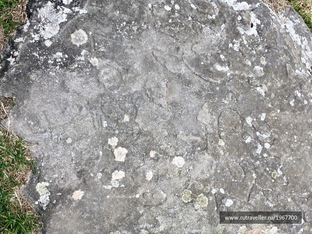 photo 1871717