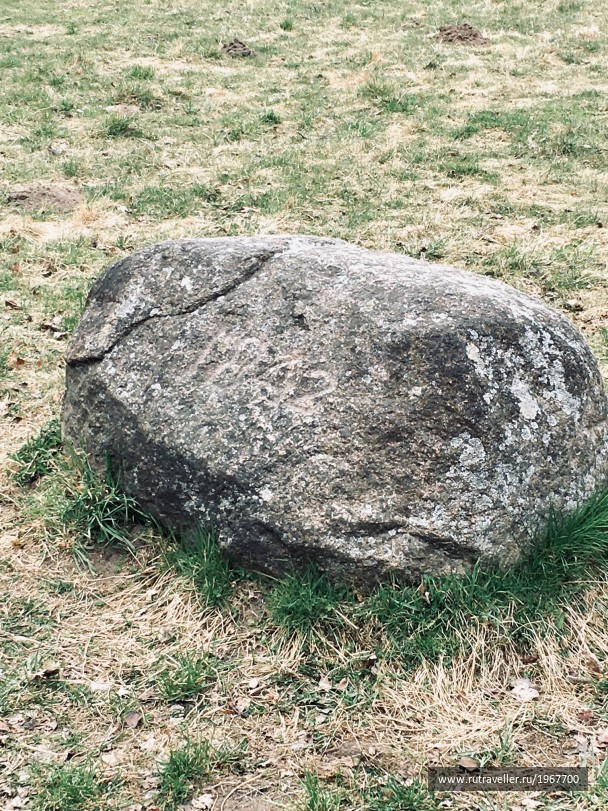 photo 1871718