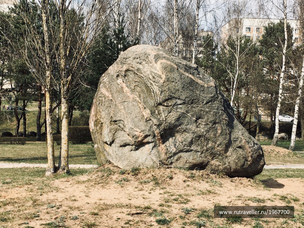 photo 1871721
