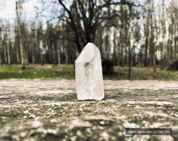 photo 1871724